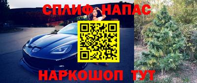 хмурый Кинель