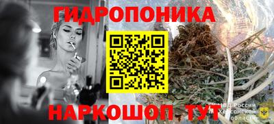 сатива Кингисепп