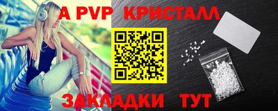 сатива Кингисепп