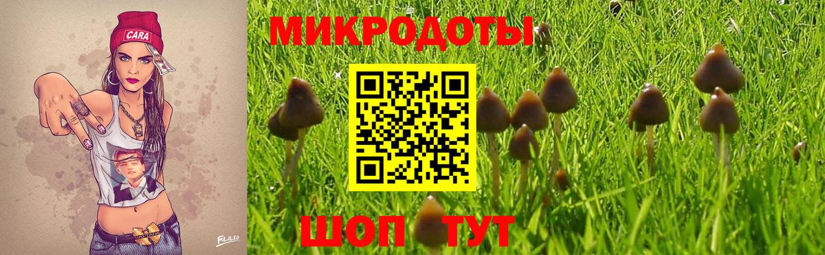 Лабытнанги  Псилоцибиновые грибы ЛСД  дарнет шоп  Вход с VPN 